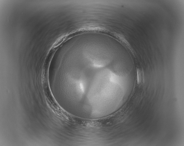 X0000080100579200612151623