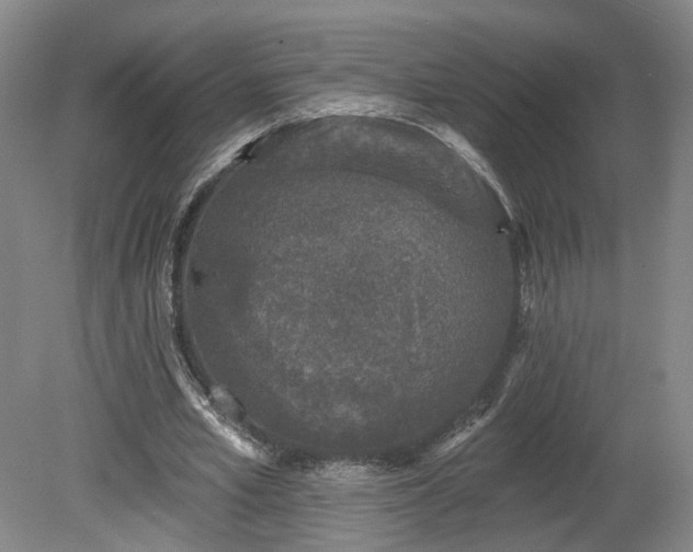 X0000080100581200612151623