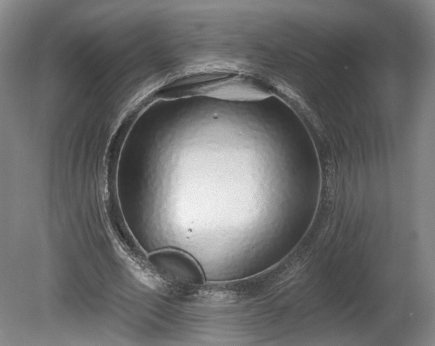 X0000080100582200612151623