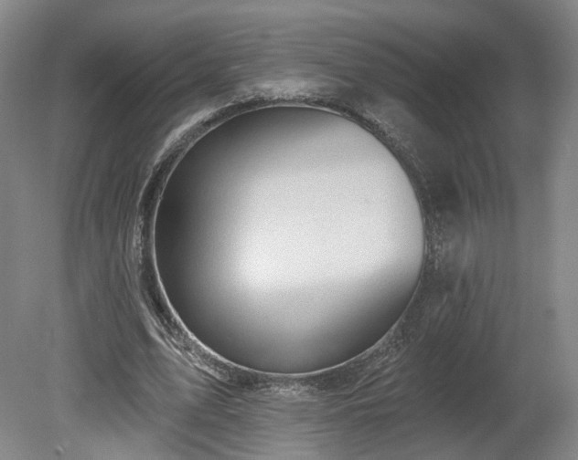 X0000080100583200612151623