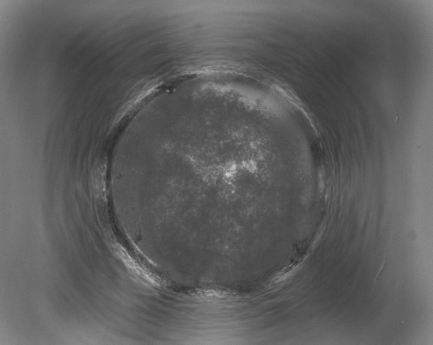 X0000080100585200612151623