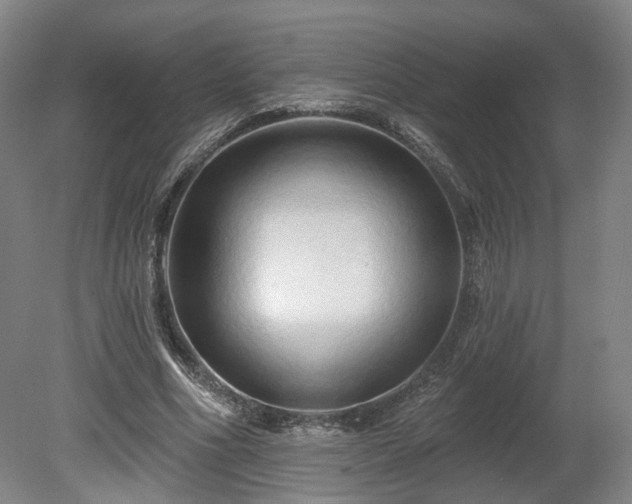 X0000080100586200612151623