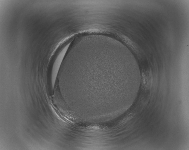 X0000080100588200612151623