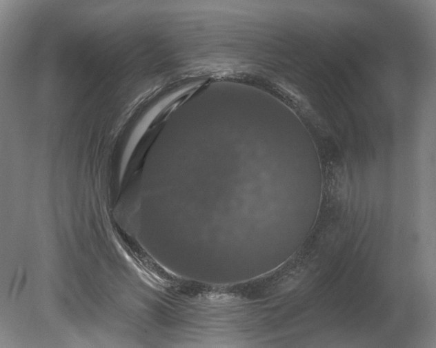 X0000080100590200612151623