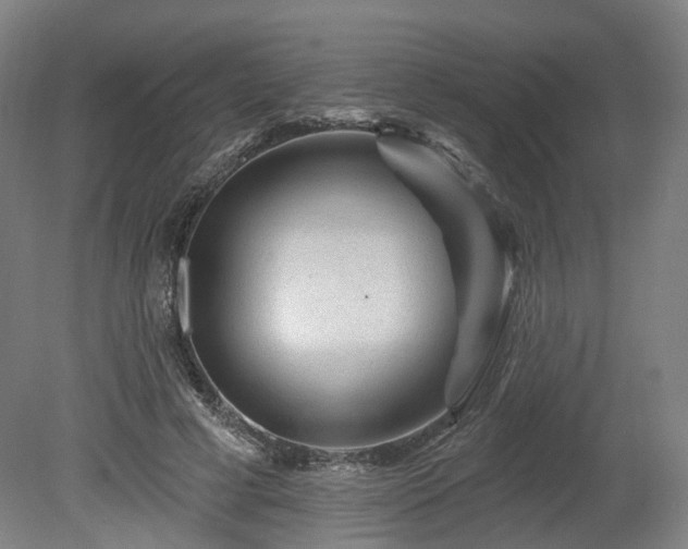 X0000080100593200612151623