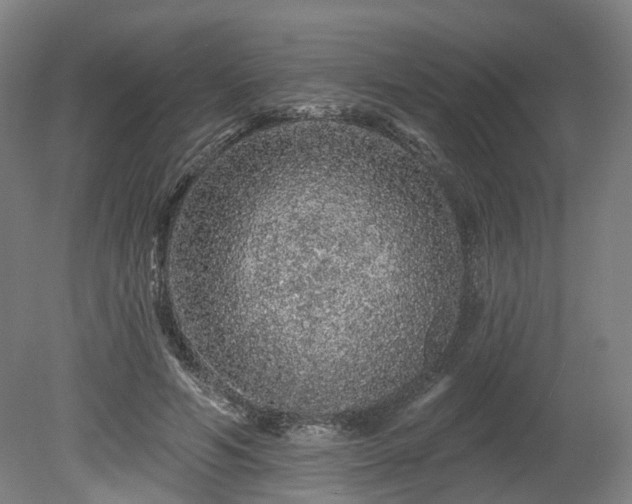 X0000080100594200612151623