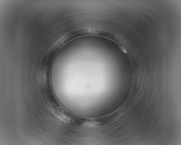 X0000080100595200612151623