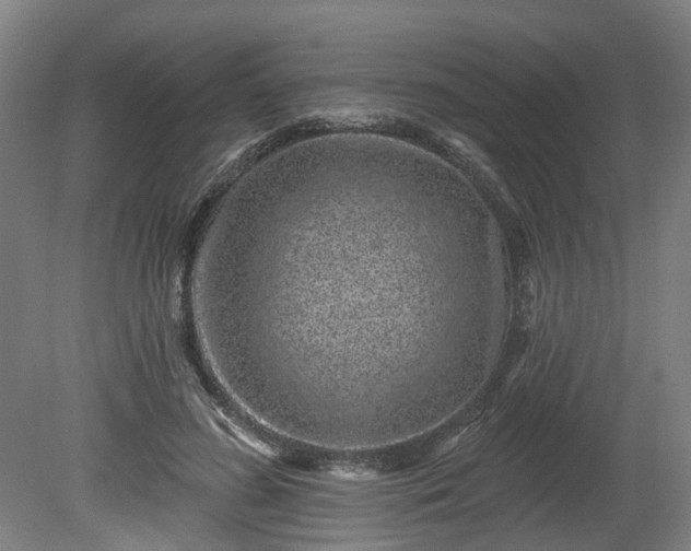 X0000080100596200612151623