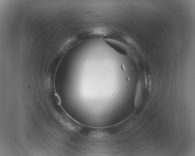 X0000080100597200612151623