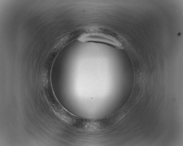 X0000080100599200612151623