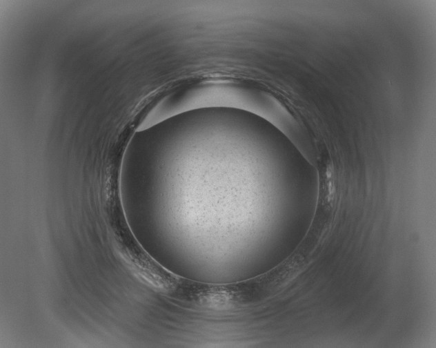 X0000080100600200612151623