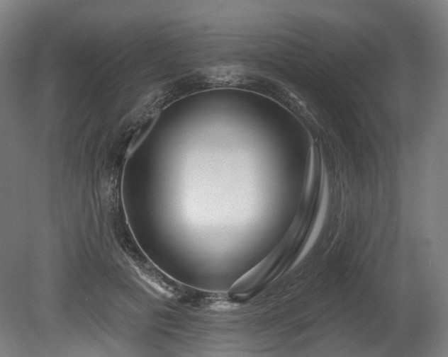 X0000080100601200612151623