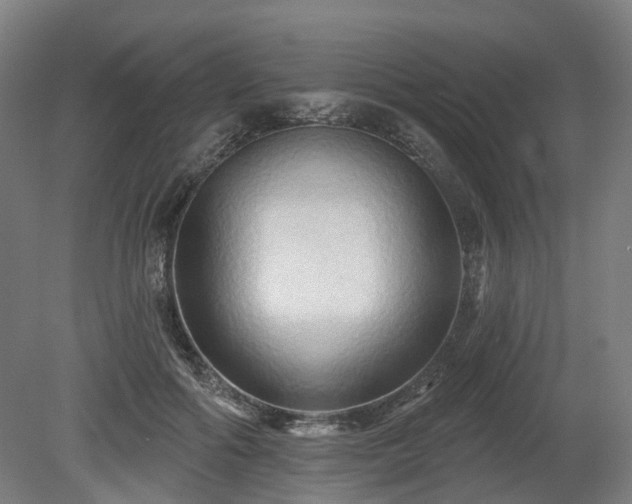 X0000080100602200612151623