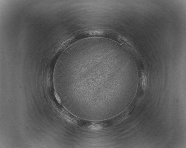 X0000080100604200612151623