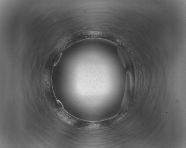 X0000080100609200612151623