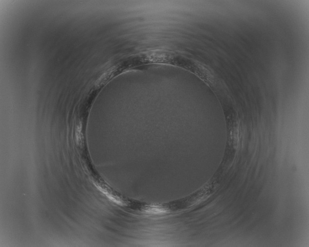 X0000080100610200612151623