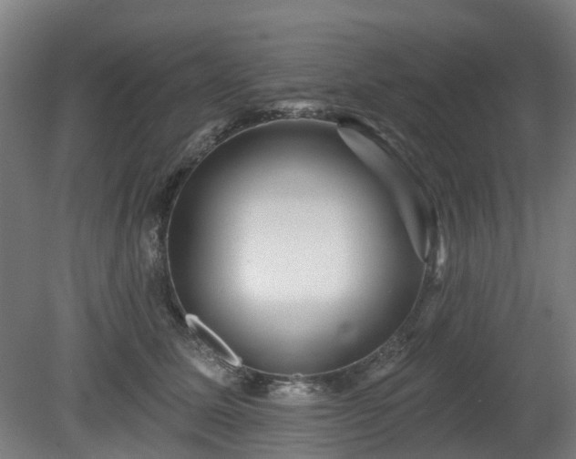 X0000080100611200612151623