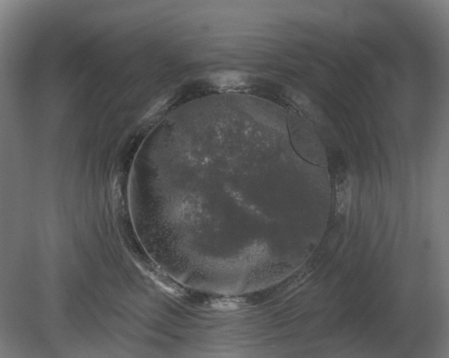 X0000080100618200612151622