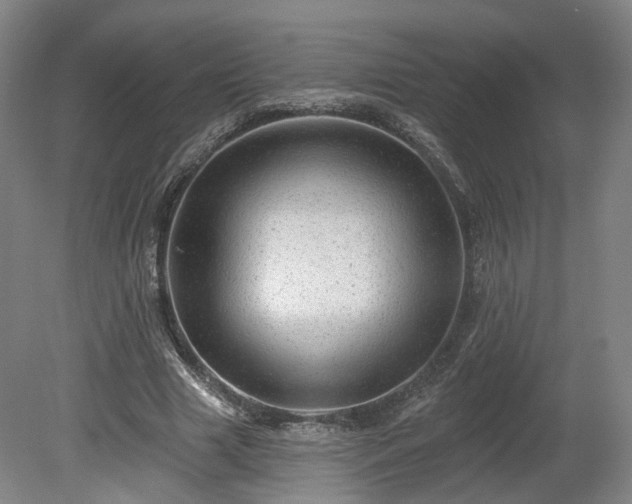 X0000080100633200612151622