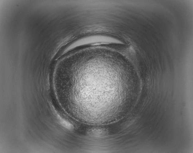 X0000080100638200612151622