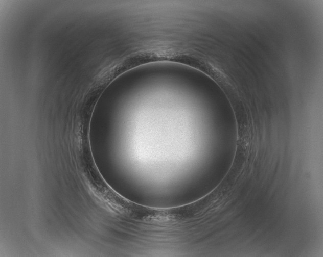X0000080100639200612151622