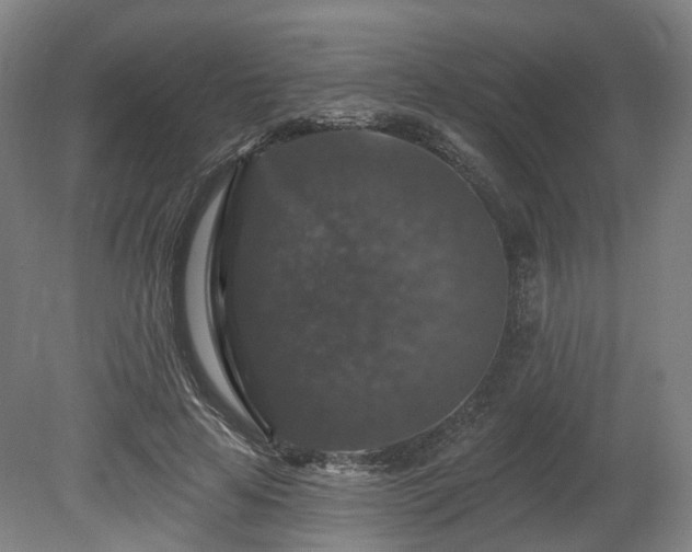 X0000080100641200612151622