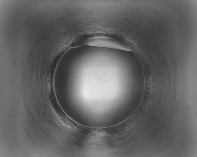 X0000080100642200612151622