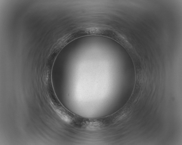 X0000080100645200612151622
