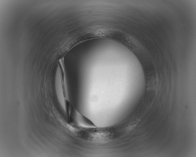 X0000080100646200612151622