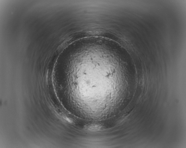 X0000080100647200612151622