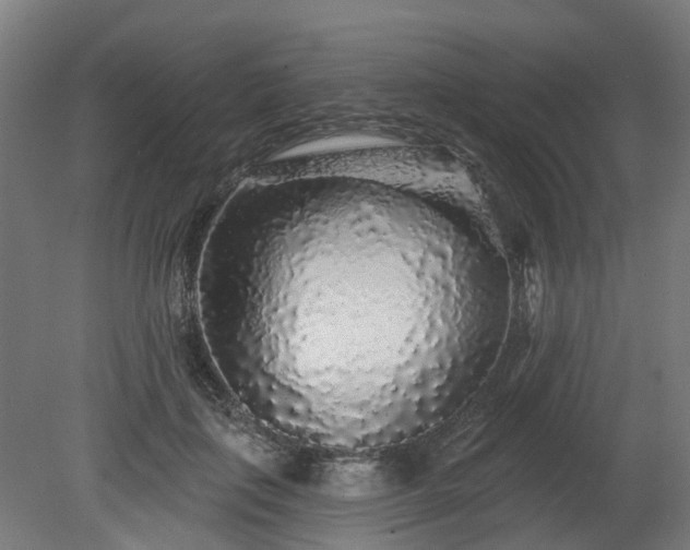 X0000080100651200612151622