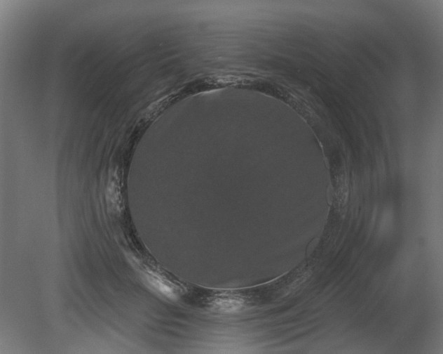 X0000080100653200612151622