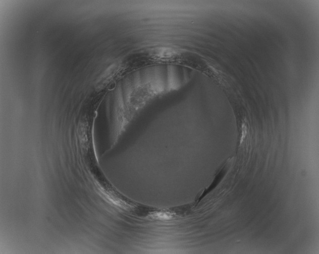 X0000080100654200612151622