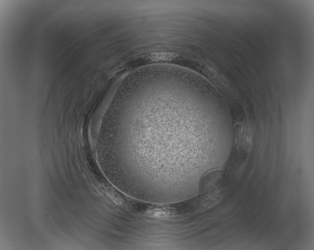X0000080100655200612151622