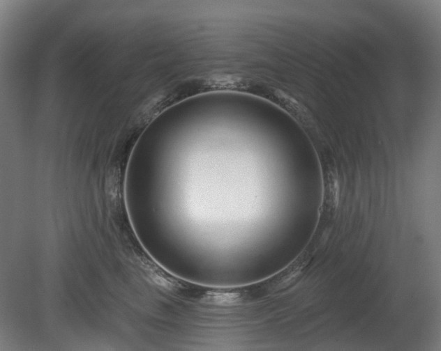 X0000080100665200612151622