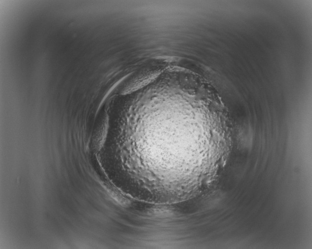 X0000080100668200612151622