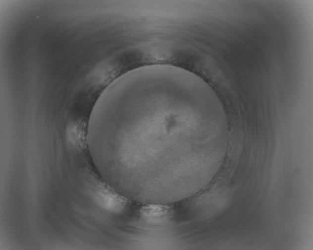 X0000080100672200612151622