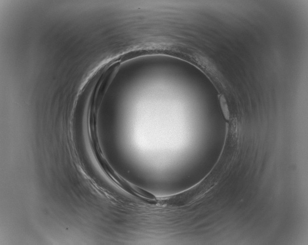 X0000080100676200612151621
