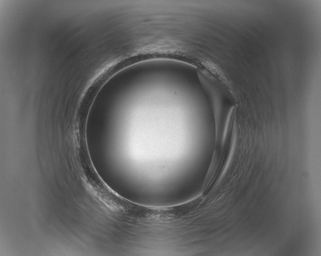X0000080100680200612151621