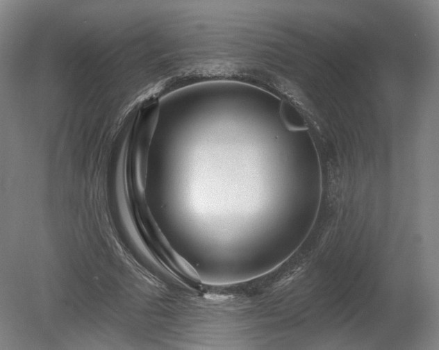 X0000080100681200612151621