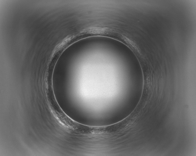X0000080100682200612151621