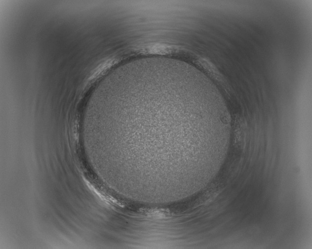 X0000080100683200612151621
