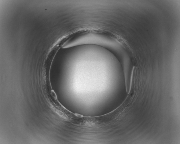 X0000080100684200612151621