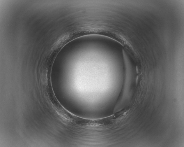 X0000080100685200612151621
