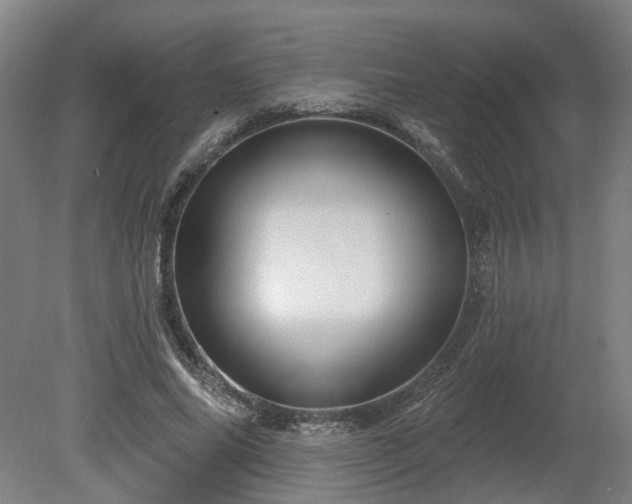 X0000080100686200612151621