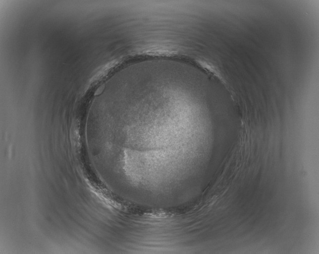 X0000080100688200612151621