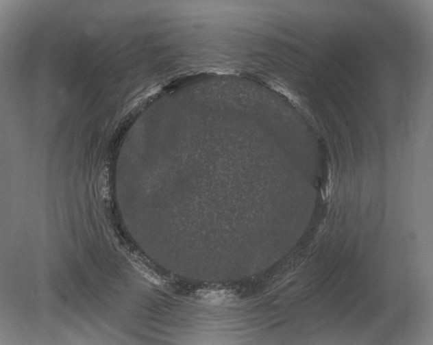 X0000080100689200612151621