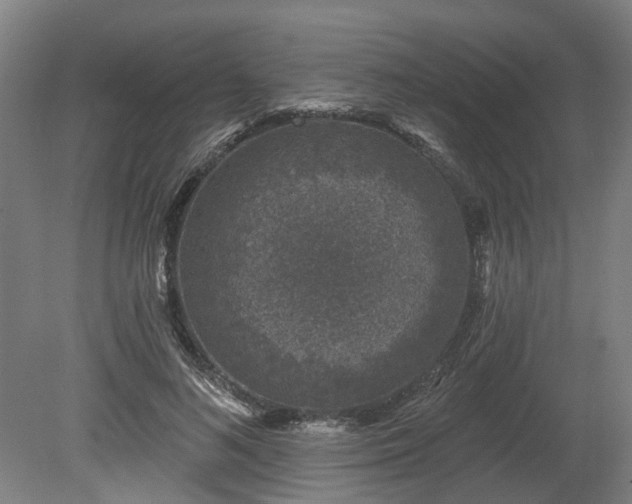 X0000080100692200612151621
