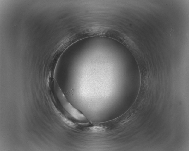 X0000080100693200612151621