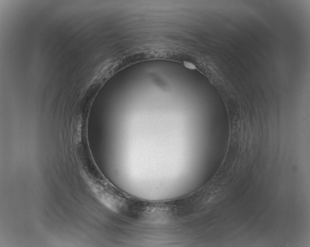 X0000080100694200612151621